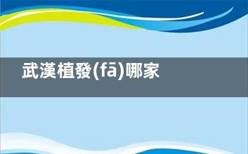 武漢植發(fā)哪家比較好？盤點武漢大麥微針、碧蓮盛、新生植發(fā)的特色項目與優(yōu)勢